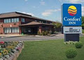 Comfort Inn Meadowvale logo