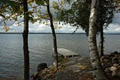 Cottage Country Travel Services image 4