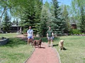 Country Club Pet Resort image 3