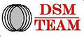 DSM Team logo