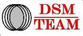 DSM Team image 1