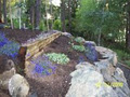 Danscapes Landscaping Company image 5