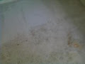 Deep Scrub Carpet & Upholstery Cleaning image 4