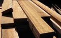 Dove Creek Timber Corporation image 3