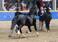 Equestrian Web Design image 6