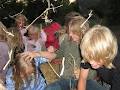 Estonian Children's Summer Camp image 5