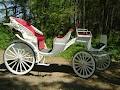 Fairytale Horse & Carriage Service image 2