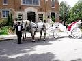 Fairytale Horse & Carriage Service image 5