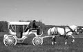Fairytale Horse & Carriage Service logo