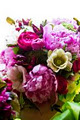 Foxgloves Flowers Inc image 3