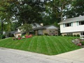 Freshcut Lawn Care & Landscaping image 6