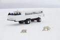 Frontiers North's Tundra Buggy® Adventure image 2