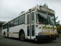 Golden Ears Community Transit logo