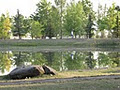 Granview Recreation Park image 1