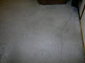 Healthy Home Carpet Cleaning image 3