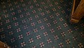 Healthy Home Carpet Cleaning image 5