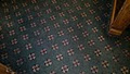 Healthy Home Carpet Cleaning image 5