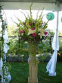 Jennifer Roberts Florist image 5