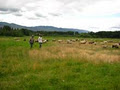 Kelowna Free Graze Lamb image 2