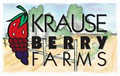 Krause Berry Farms image 5