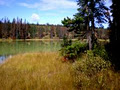 Lac Le Jeune Wilderness Resort image 5