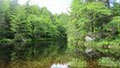Lahave River Campground image 4