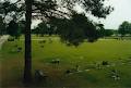 Lakefield Cemetery & Crematorium Inc. image 5