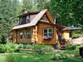 Lone Wolf Cabin Rental image 3