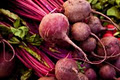 Main Street Market CSA: eat the Freshest food! image 2