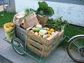 Main Street Market CSA: eat the Freshest food! image 6