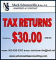 Mark Schonewille Chartered Accountant image 2