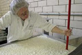 Monforte Dairy Co. Ltd image 2