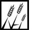 New Harvest Media Inc. logo
