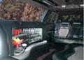 Nite Life Limo image 4