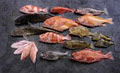Pacific Storm Seafoods Ltd image 5