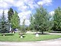 Pair-A-Dice RV Park & Campground image 4