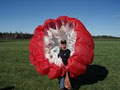 Paraltitude - École de paramoteur image 6