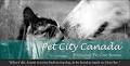 Pet City Canada logo