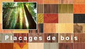 Placages de Bois logo