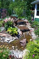 Price Landscaping Services image 5
