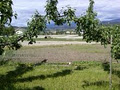 Quails View Farm RV Park image 3