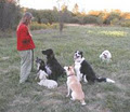 Quinte Dog Park image 1