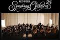 Red Deer Symphony Orchestra image 2