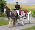 Regal Horse & Carriage logo