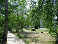 Riverside RV Park and Campground image 5