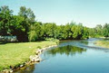 Saugeen Cedars Family Campground image 1