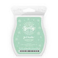 Scentsy Independent Consultant image 6