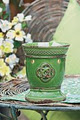 Scentsy image 1