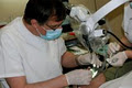 Schow Dental image 1