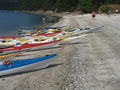 Sealegs Kayaking image 4
